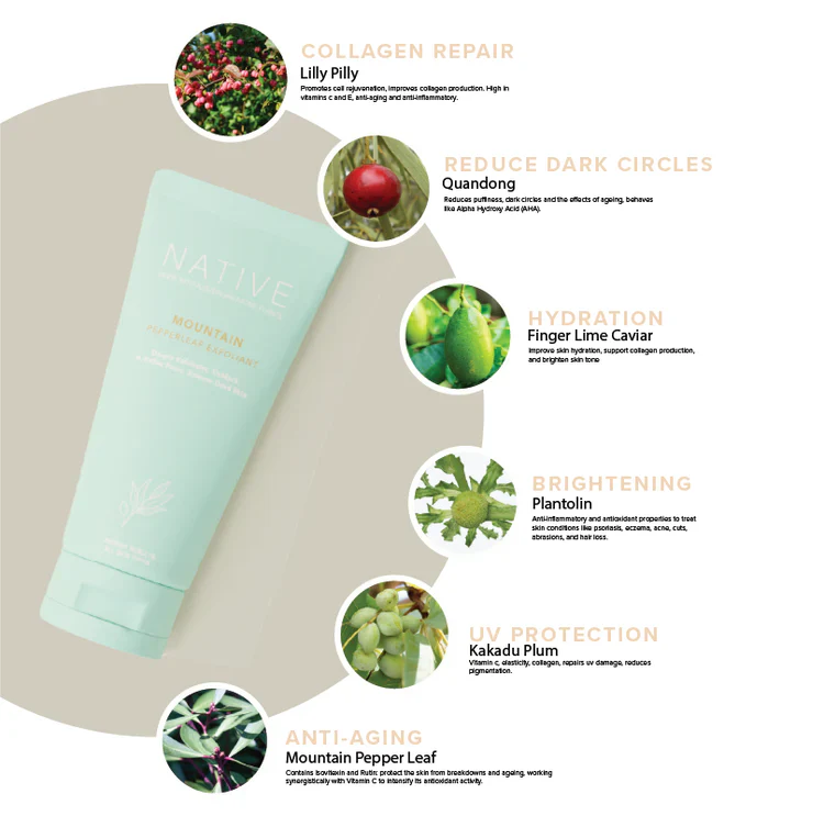 Mountain PepperLeaf Exfoliant - Klara Cosmetics